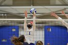 Volleyball vs RWU  Wheaton Women’s Volleyball vs Roger Williams University. : Volleyball, VB
